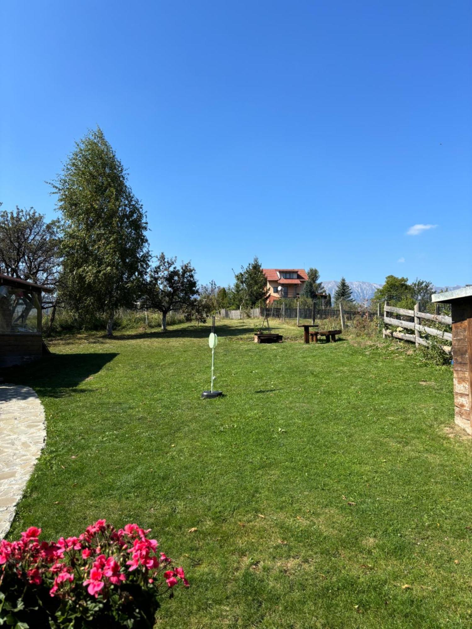 Transylvanian House Drumu Carului Exterior foto